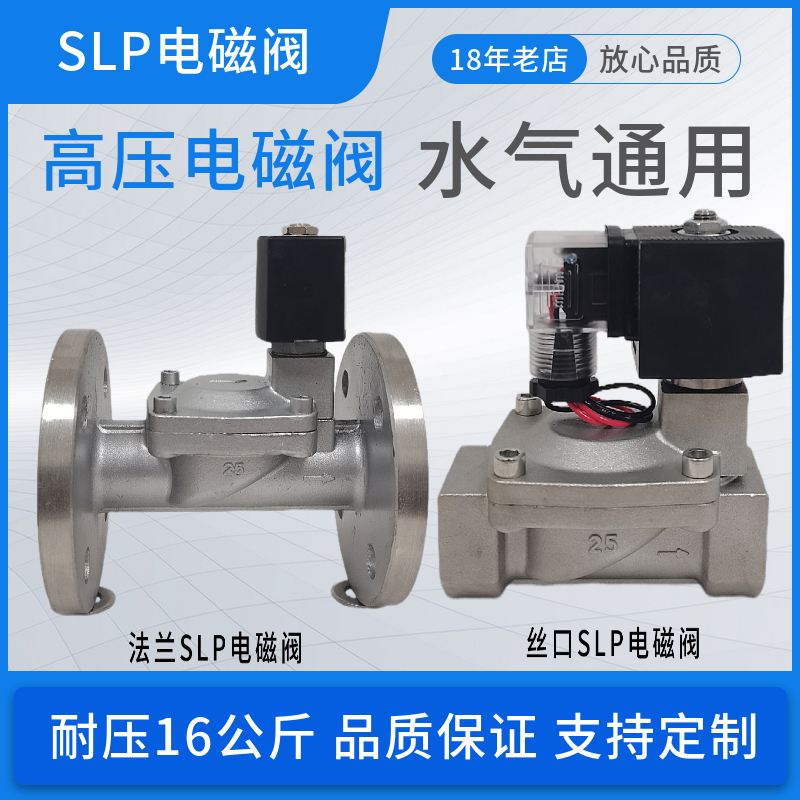 SLP-16P电磁阀先导式内螺纹1.6MPa不锈钢304法兰高压电磁阀AC220V