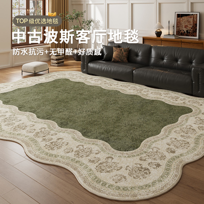 异形中古风客厅地毯绿色防水抗污