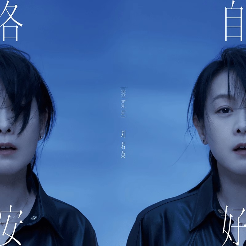 官方正版 刘若英实体专辑 各自安好 CD+歌词本 正式版