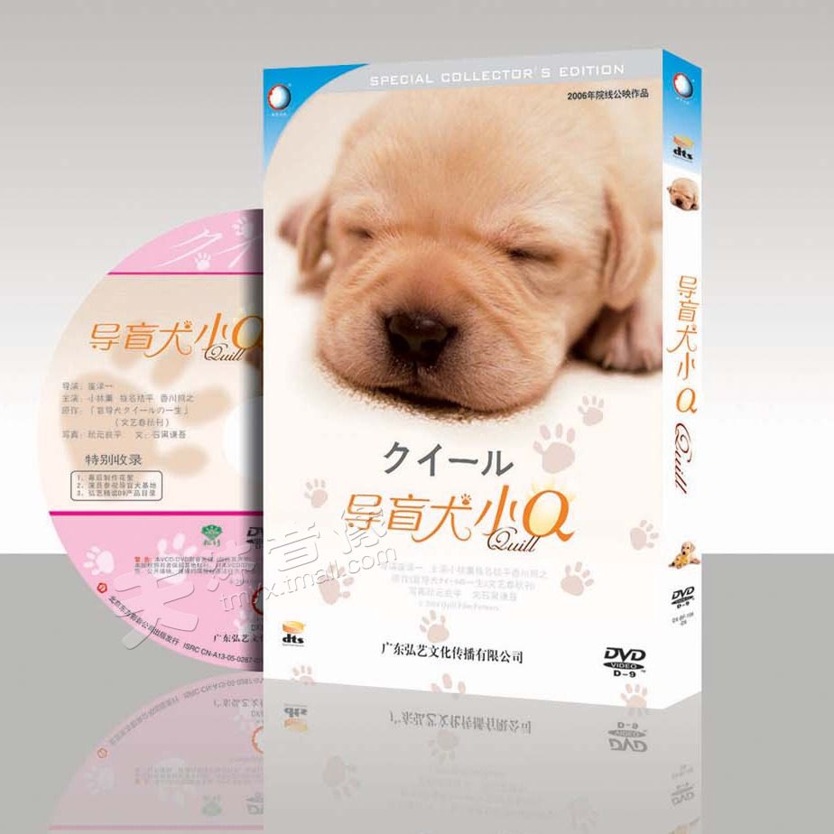 正版 导盲犬小q 日本经典感人狗狗电影dvd光盘碟片