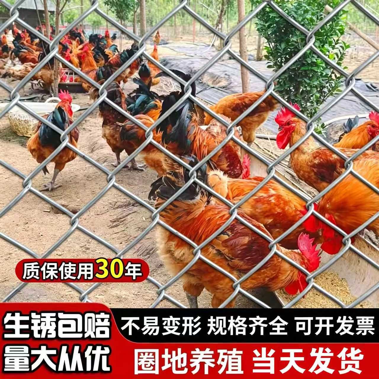 【专业工厂】现货速发不生锈钢丝图片