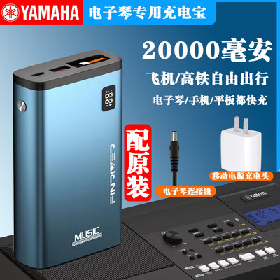 12v通用乐器专用移动电源