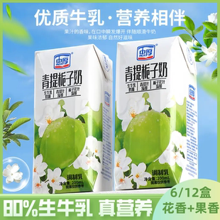 營養美味兒童學生早餐牛奶飲品整箱 忠厚青提梔子牛奶200ml盒裝