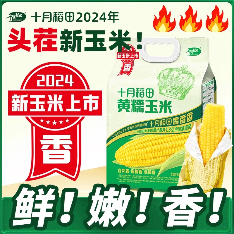软糯美味！十月稻田黄糯玉米棒