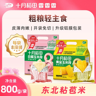 十月稻田黄金玉米段黄糯白糯东北黏苞米软糯粗粮真空包装营养早餐
