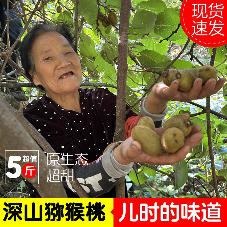 顺丰包邮秦岭深山绿心猕猴桃