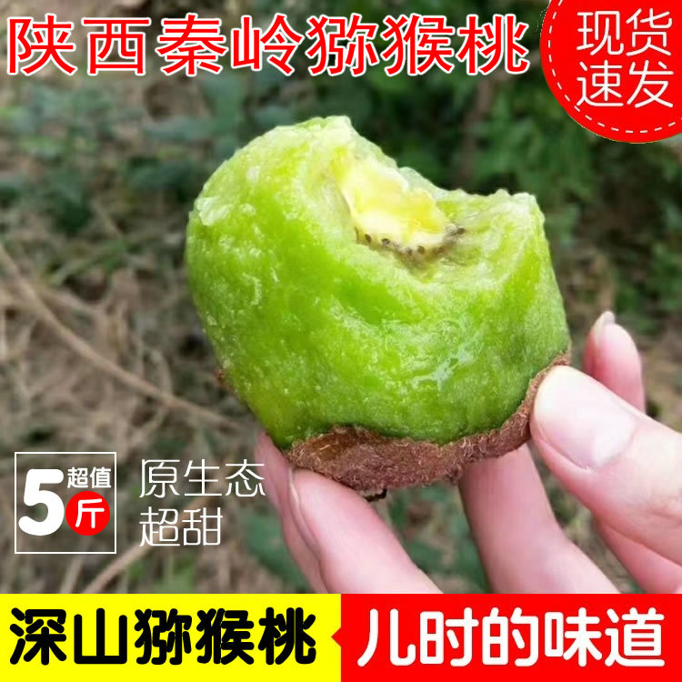 秦岭深山绿心猕猴桃高山猕猴桃