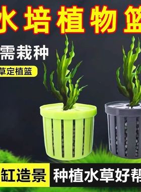 鱼缸水培植物篮家用水草种植水草泥沉底固定器种植造景装饰定植篮