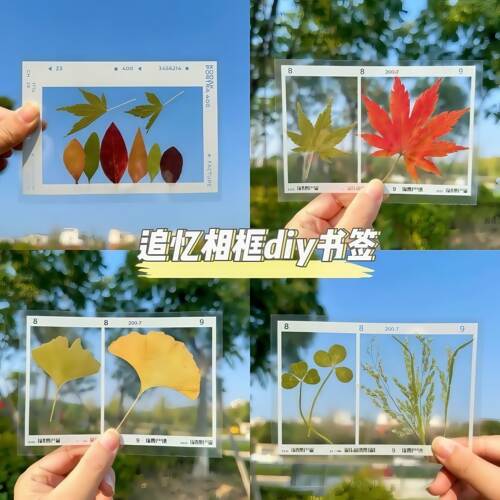 透明花书签手工diy制作材料干花树叶植物标本塑封膜瓶子里的四季