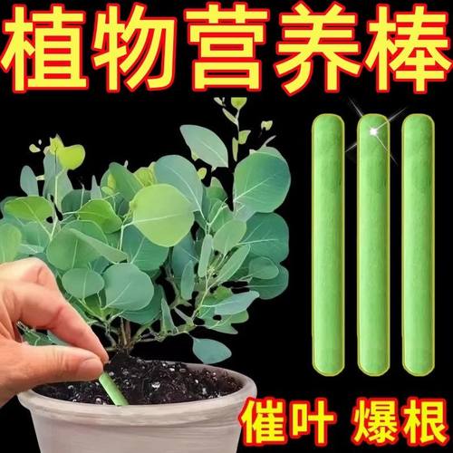 绿植肥缓释棒营养棒花肥料