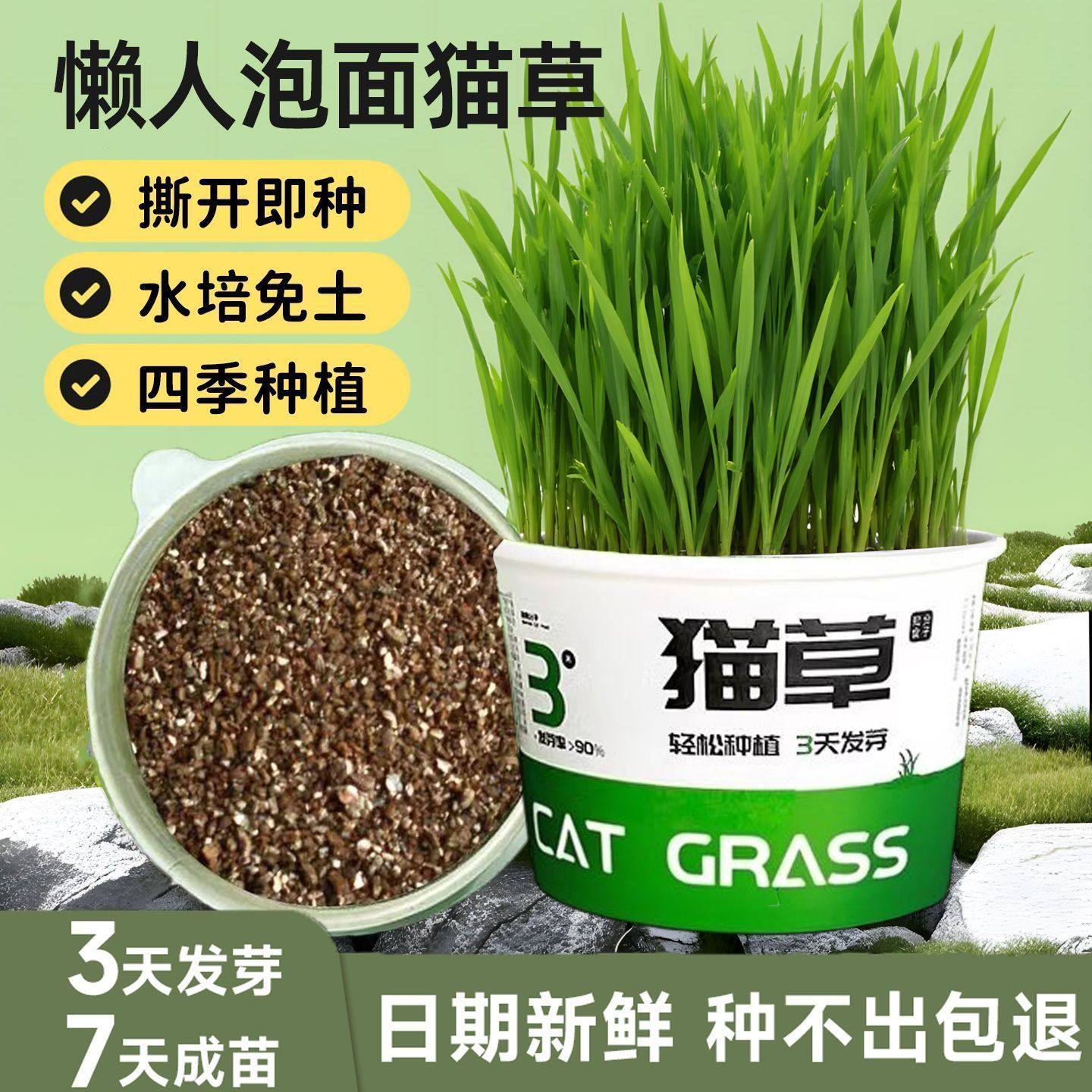 网红懒人泡面猫草自种盆栽种植猫草杯猫草种子水培猫零食品猫麦子,宠物/宠物食品及用品,猫草/猫草片,淘宝优惠券,粉丝福利购,淘宝优惠卷