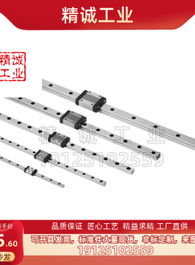 SEBL10/SE2B816/20直线导轨SSEB13-SSEBZ45/95/120/145/170