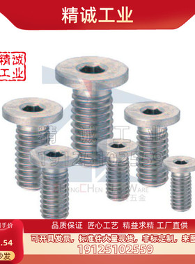 超短头螺栓CBSTS 6/8/10-6/8/10/12/14/16/18/20/25/30薄头螺栓