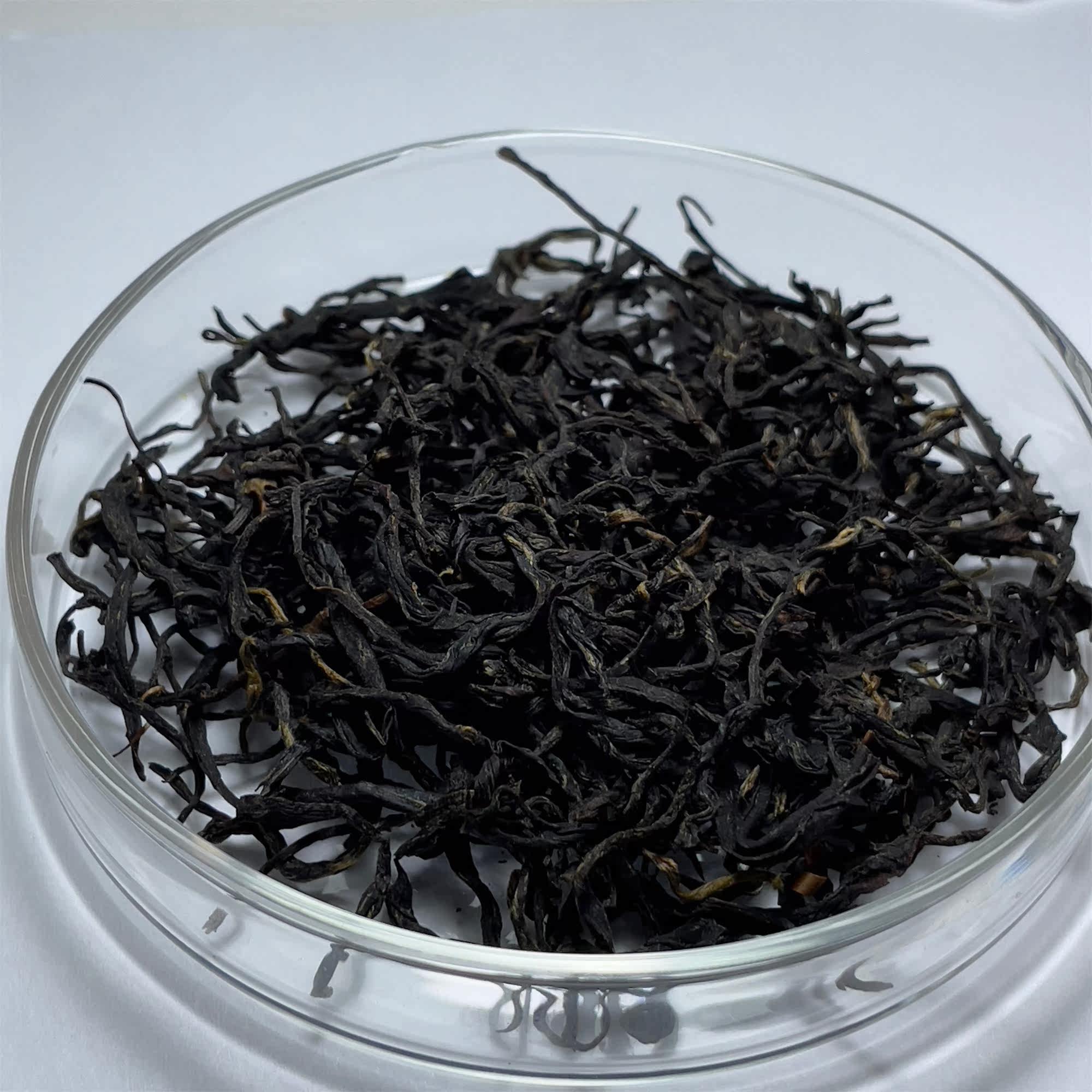 老枞野茶红茶