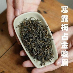 口粮 寒露梅占金骏眉花香显茶汤甜润 红茶