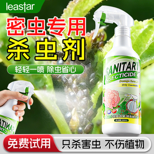蜜虫专用药蚜虫白粉虱治蜜虫的药非红蜘蛛花卉植物绿植通用杀虫剂