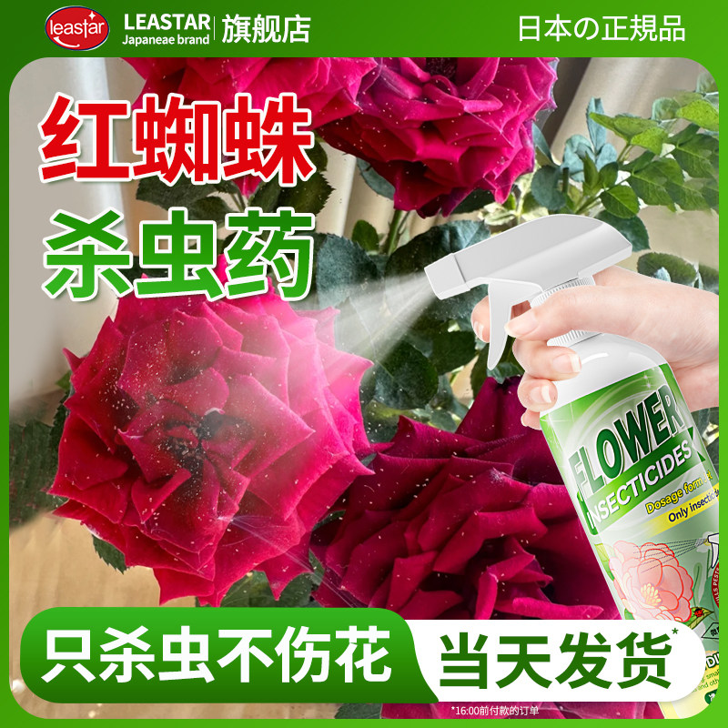 红蜘蛛专用杀虫剂月季病虫害常用药非特效植物花卉除虫通用喷雾白