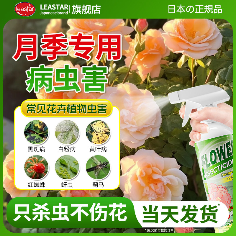 月季花病虫害常用药白粉黄叶黑斑花卉杀虫剂专用药病非红蜘蛛蚜虫
