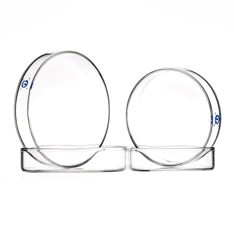 申玻玻璃培养皿整盒包邮加厚