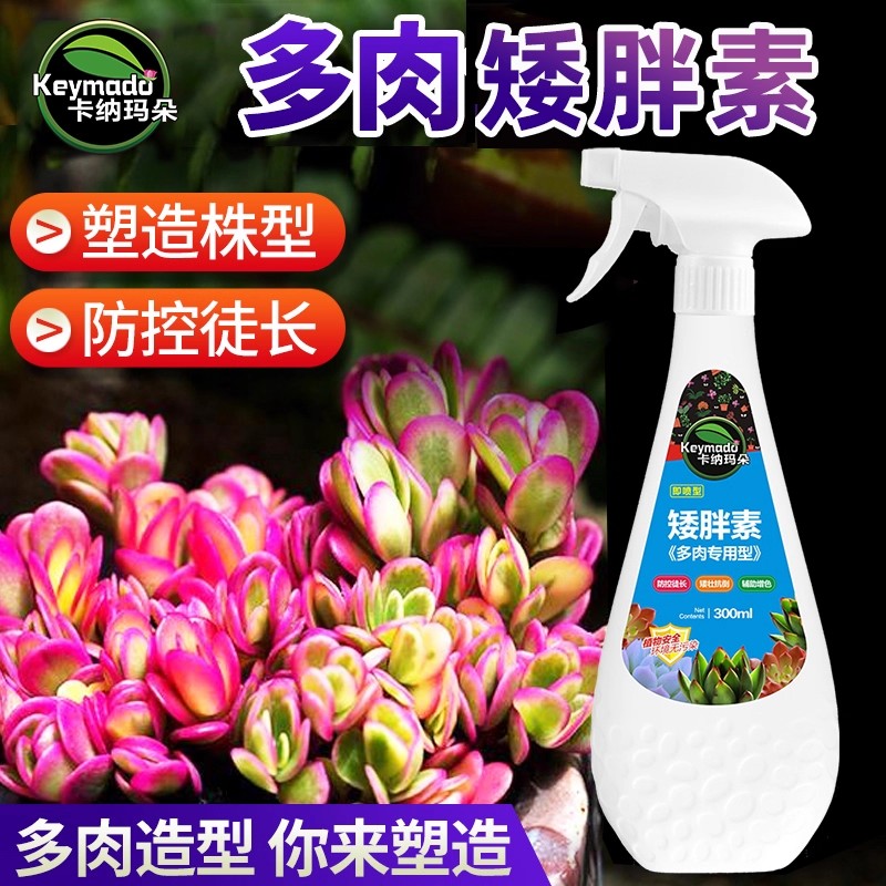 矮胖素多肉植物专用控型太阳花防徒长家用园艺肥料营养液卡纳玛朵