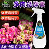 矮胖素多肉植物专用控型太阳花防徒长家用园艺肥料营养液卡纳玛朵