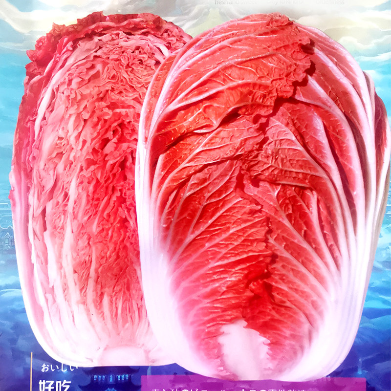 火凤凰白菜种子橘红心鸡蛋黄白菜图片
