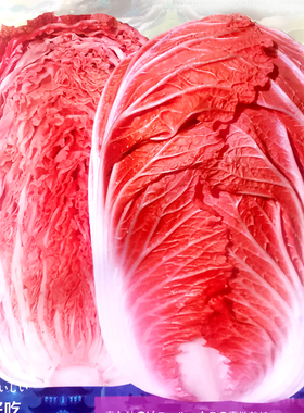 火凤凰白菜种子橘红心鸡蛋黄白菜种籽秋播耐寒青菜农家菜园蔬菜孑