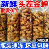 新鲜山东大金蝉新鲜冷冻蝉知了猴鲜货杜仲金蝉速冻活体脱壳爬叉