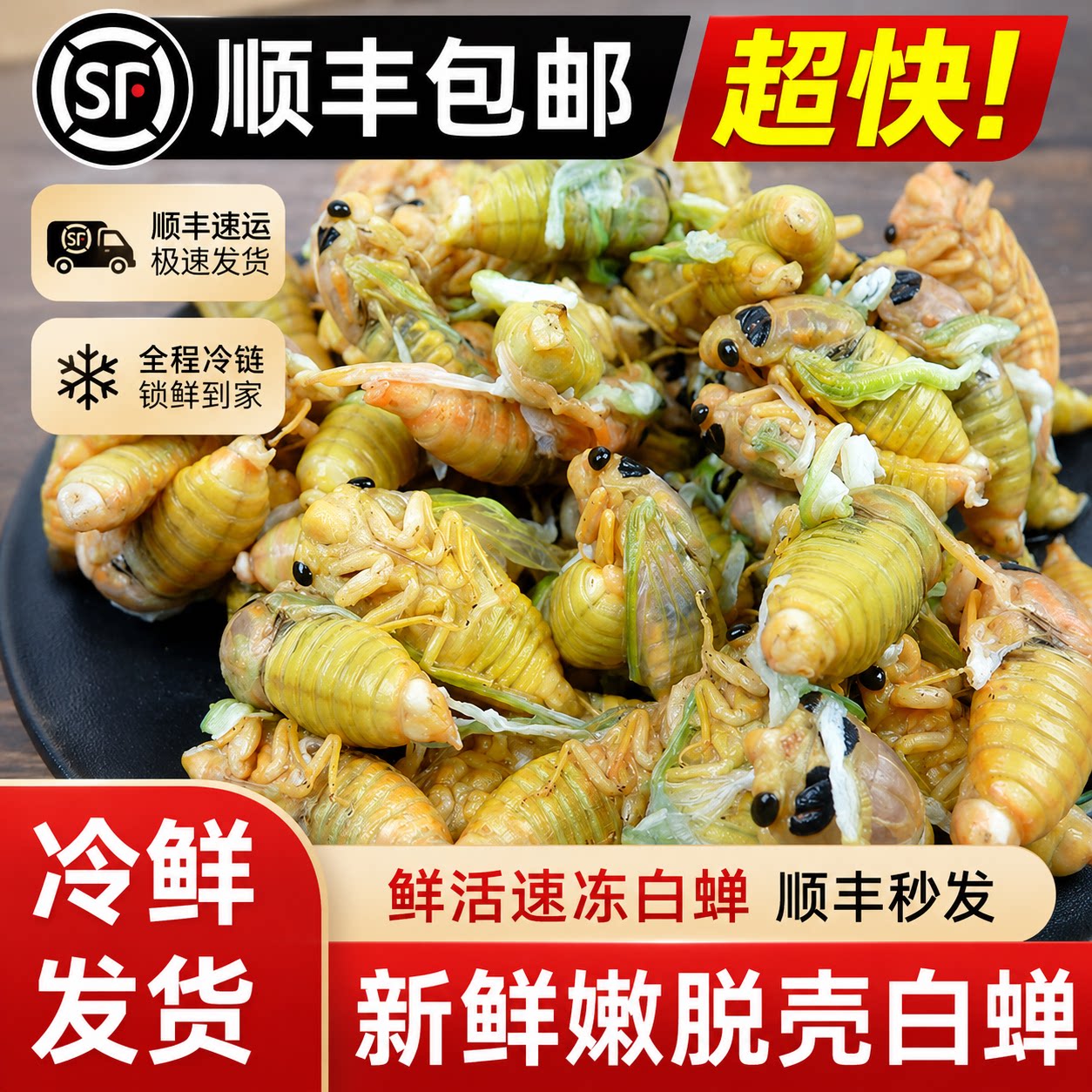 【头茬新货】2026山东白蝉新其它生肉制品