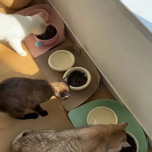 宠物餐垫猫咪碗垫皮革半包围加厚