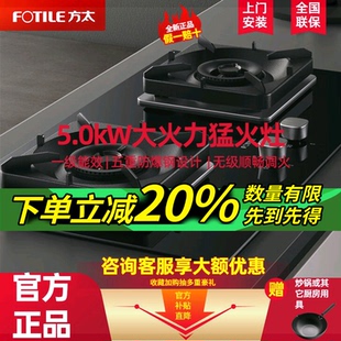 方太燃气灶家用嵌入式 双灶台具大火力可调尺寸猛火灶TH29B煤气灶