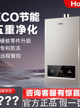 海尔燃气热水器ECO节能WIFI操控厨房家用防风防冻智能恒温洗澡WG3