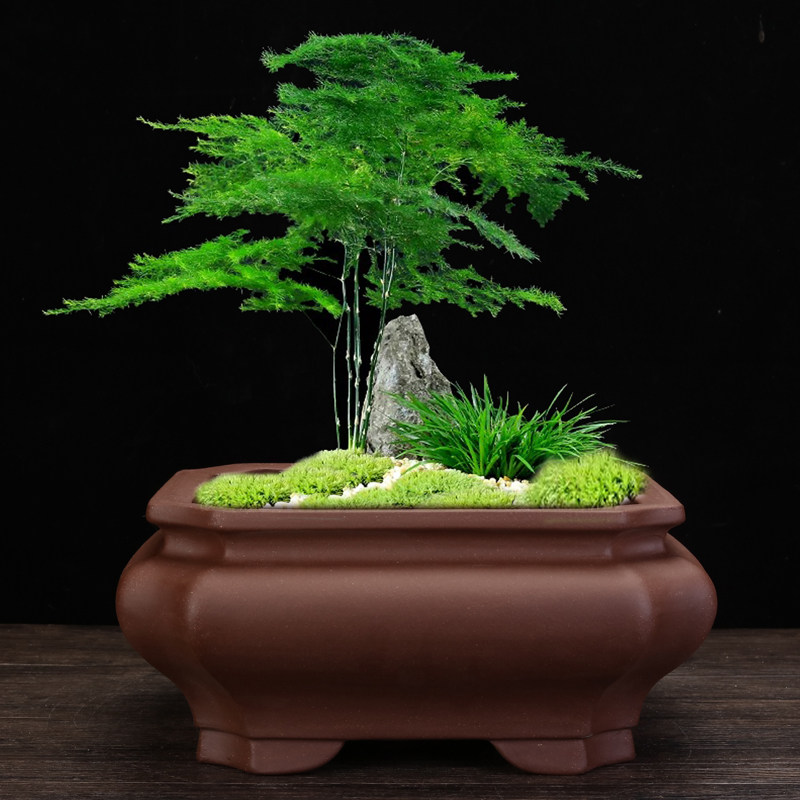 宜兴紫砂花盆大口径盆景盆深坑老花盆