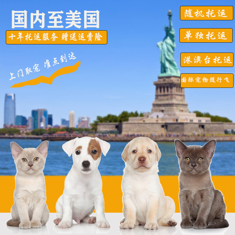 上门取宠宠物托运赠送运费险