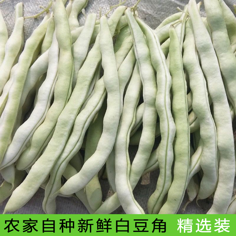 湖北老来少白扁豆4斤新鲜蔬菜