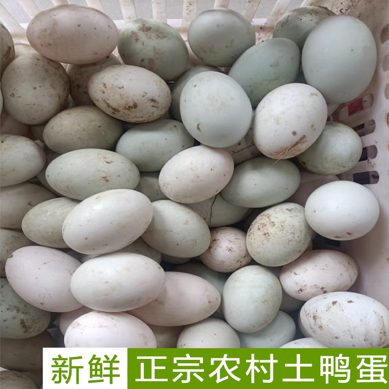 正宗农村自养土鸭蛋新鲜发货
