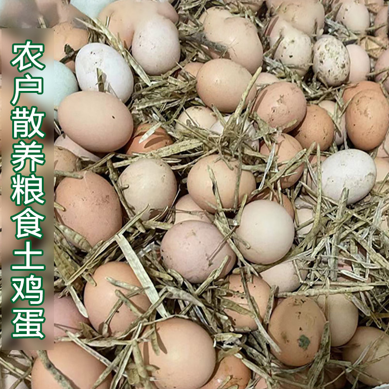 正宗土鸡蛋农村自养老母鸡鸡蛋