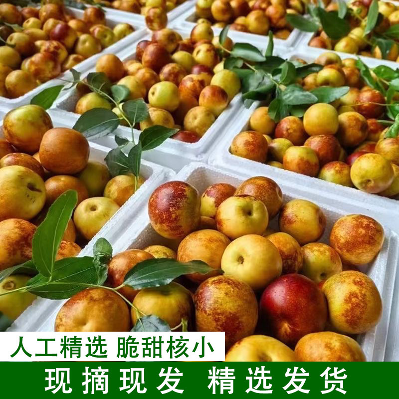 枣子新鲜脆枣大荔冬枣新鲜当季时令水果脆甜枣冰糖枣精选装