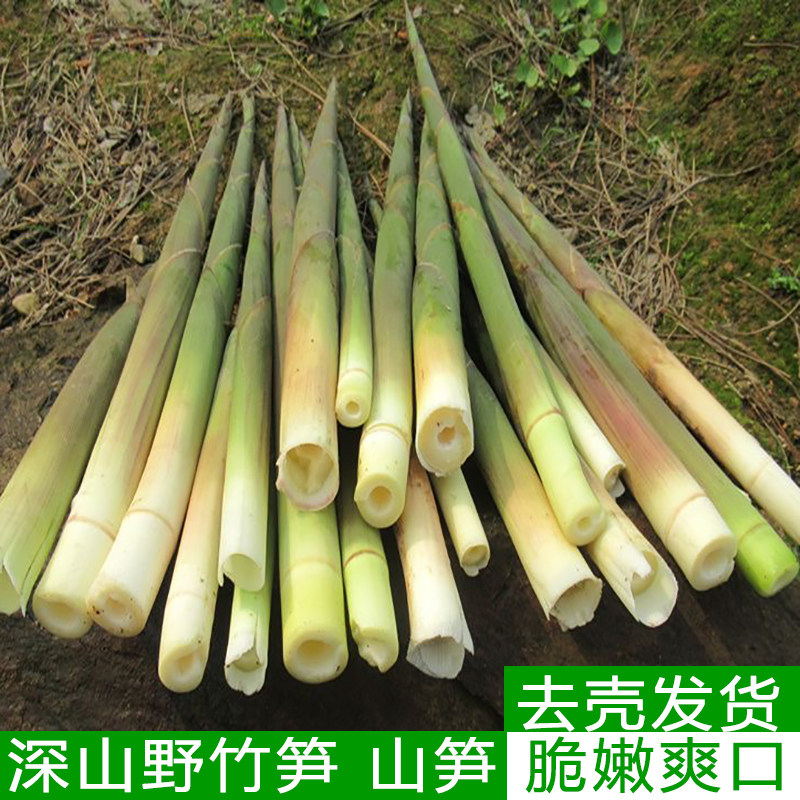 新鲜小竹笋山林野春笋现挖绿色山笋农家甜笋子嫩尖去壳山间水竹笋