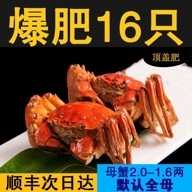 盘锦河蟹稻田蟹盘锦河蟹鲜活特大螃蟹冷链包邮 东北稻田蟹1-3两公