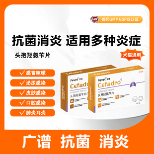 头孢羟氨苄片派维宠物消炎药猫咪狗狗感冒咳嗽打喷嚏广谱抗菌消炎