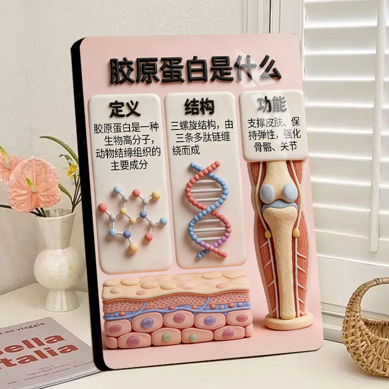 不同年龄胶原蛋白科普相框摆台医美美容院前台桌面宣传装饰画摆件