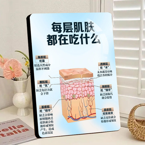 每层肌肤都在吃什么美容院桌面摆件医美面部整形装饰画相框摆台