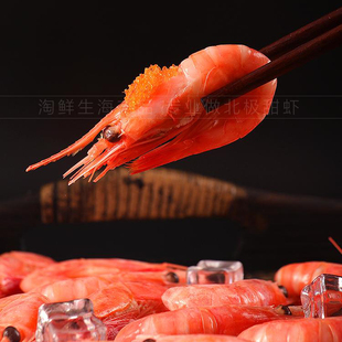 头籽北极甜虾刺身腹籽北极虾国王北极熊冰虾海虾新鲜冷冻海鲜