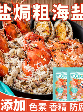 味翁大粒海盐盐焗调味料海鲜粗盐盐焗专用八角香料调味包盐焗鸡粉
