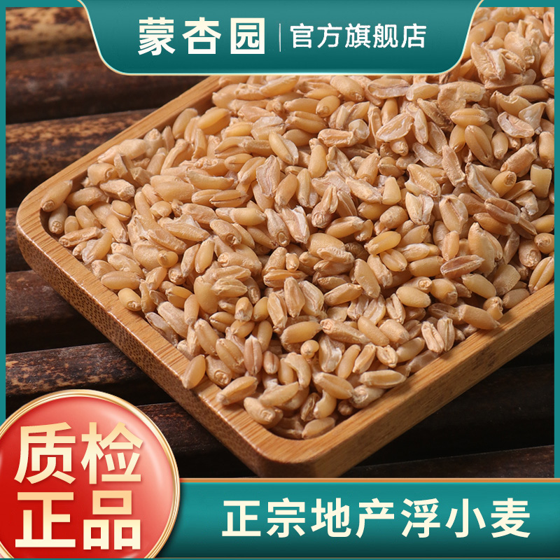 浮小麦中药材500克止汗茶浮水小麦茶新货干瘪小麦 可搭甘草红枣