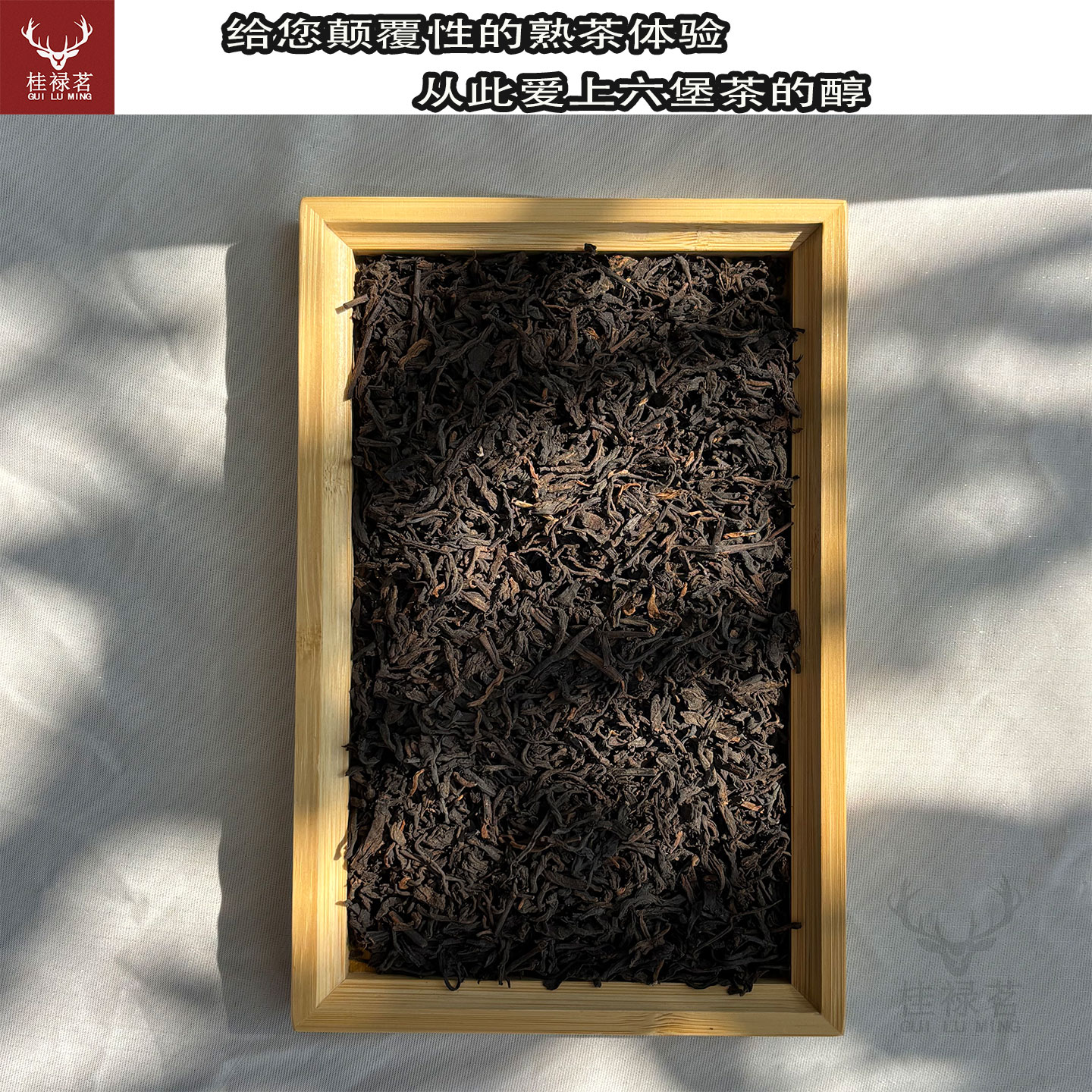 梧州特产发酵陈化六堡茶