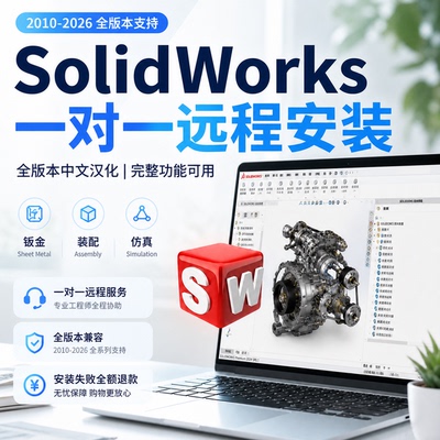 一对一远程安装，解决SW各类报错