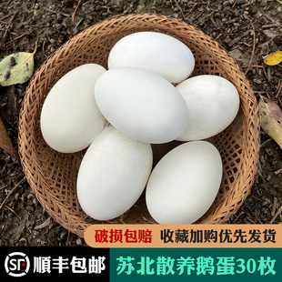 顺丰包邮 鹅蛋新鲜 鹅蛋农家散养新鲜 土鹅蛋 孕妇 12枚大鹅蛋
