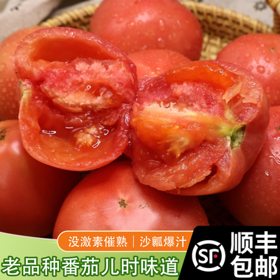顺丰包邮苏北特产农家自种番茄新鲜西红柿当季自然熟生吃孕妇辅食